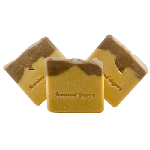 "Somewhere Out West" - Tallow & Oat Handmade Soap